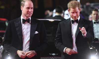 Príncipes de Inglaterra, Príncipe William e Príncipe Harry.