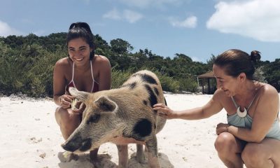 A filha e a esposa de José Mourinho com um porco nadador das Bahamas